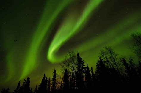 Filethe Northern Lights Just North Of Fairbanks Alaska Hd