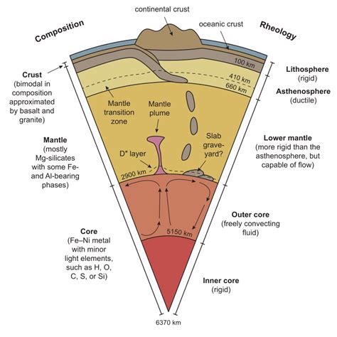 Schematic Cross Section Through The Present Day Earth Outlining