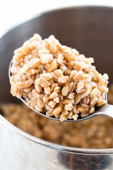 What Is Farro An Ancient Grain Worth Knowing About Jessica Gavin