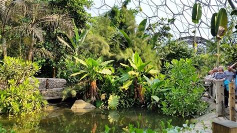 Tourist attraction & educational charity explore free. inside the tropical rainforest biome - obrázek zařízení ...