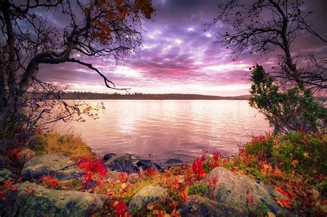 Early Fall Wallpapers Top Free Early Fall Backgrounds Wallpaperaccess