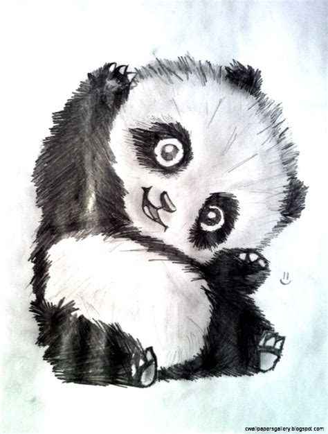Cute Panda Drawing Tumblr Wallpapers Gallery