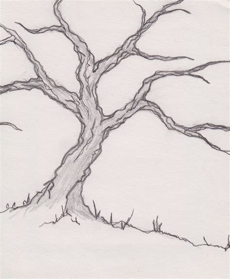 The Old Tree Oak Tree Drawing By Bruce Richard Ahrens Flickr