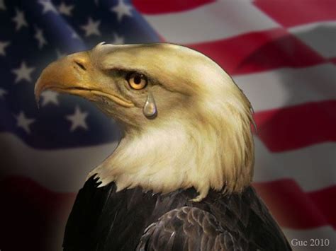 Breaking News American Eagle Officially Resigns As Americas Mascot