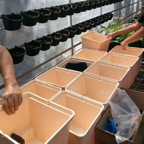 Hot Sales Food Grade Bato Bucket For Greenhouse Hydroponic Systems