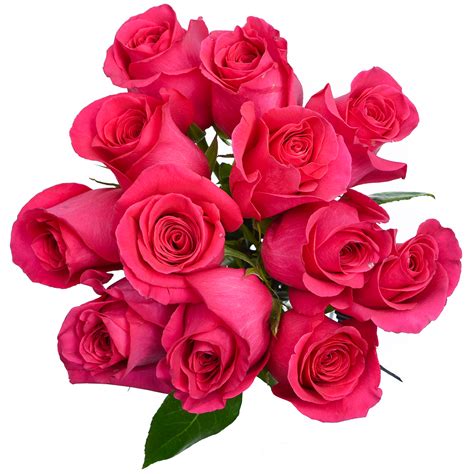 Pink floyd — another brick in the wall, pt. Rose - Pink Floyd - Stems Ship - Cut Flowers