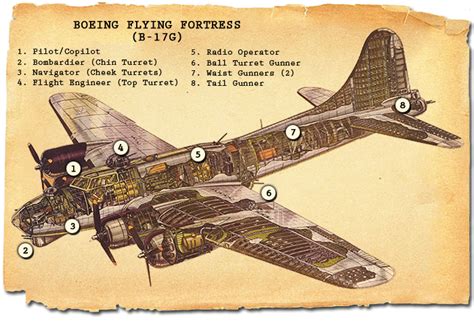 The B 17 Flying Fortress Part 2 Crew