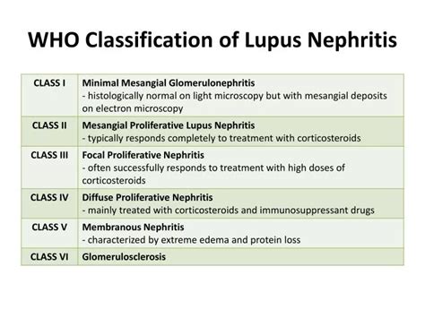 Ppt Who Classification Of Lupus Nephritis Powerpoint Presentation