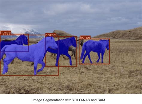How To Perform Image Segmentation Using YOLO NAS And Segment Anything SAM