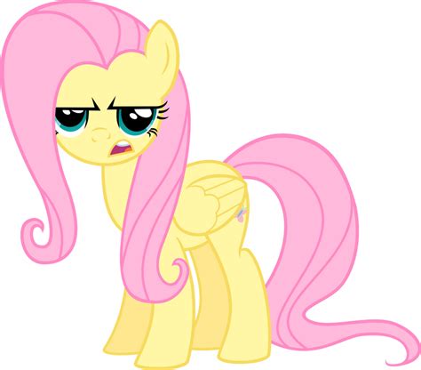 Fluttershy Is Not Happy Vector By Vaderpl On Deviantart