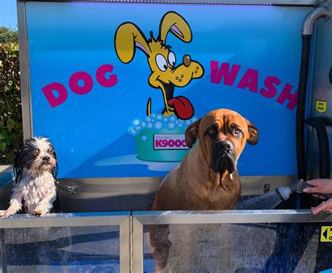 Give Your Pooch The Luxury Treatment At Tjs Dog Wash