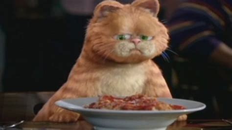 Stream Garfield A Tail Of Two Kitties Online Movie Yidio
