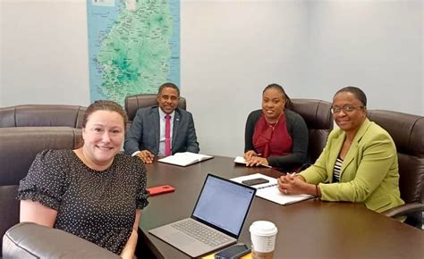 Rise St Lucia Inc Canada Chapter And The Consulate General Of Saint Lucia In Toronto Team Up