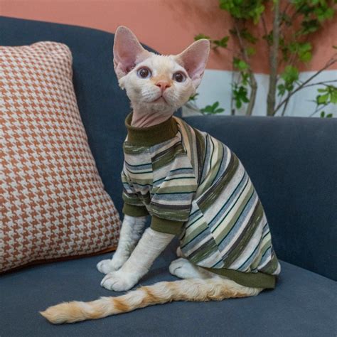 Simple Style Stripe Cat Clothes Sweater For Sphynx Cat Etsy