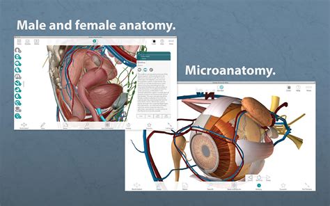Want to learn more about it? App Shopper: Human Anatomy Atlas - 3D Anatomical Model of ...
