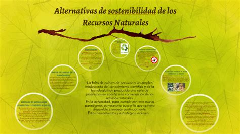 Alternativas De Sostenibilidad De Los Recursos Naturales By Mariana