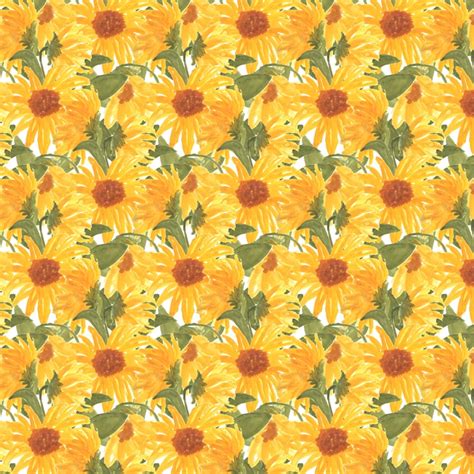 Sunny Sunflowers Premium Roll T Wrap Wrapping Paper