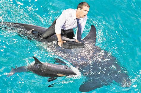 Seaworld Shares Take A Dive As Parks Have Dismal Summer
