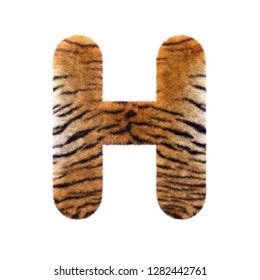 Tiger Letter H Large D Feline Stock Illustration Shutterstock
