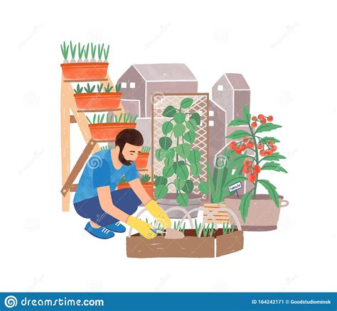 Urban Gardening Flat Vector Illustration Male Gardener Planting Herbs