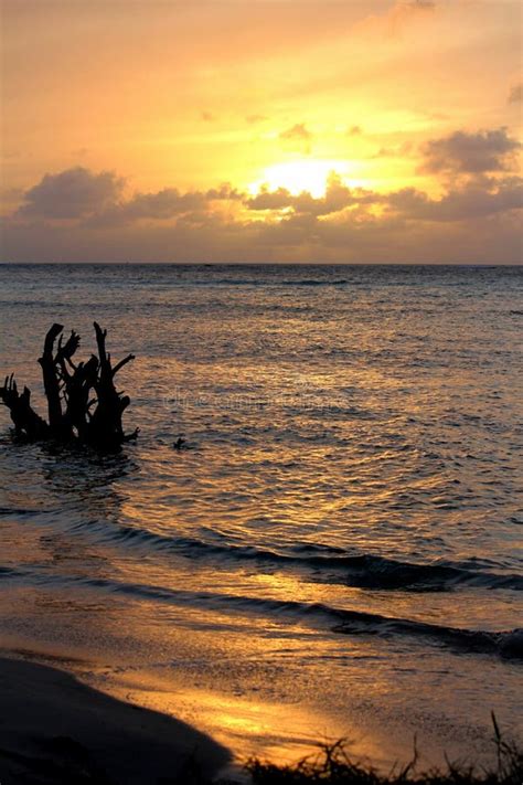 Golden Sunset Saipan Stock Photo Image Of Swimming 93756140