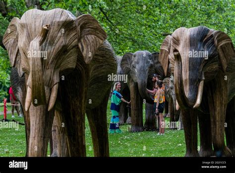 London Uk 13th June 2021 The Elephant Herd Heads Into Green Park As Part Of An Ogoing