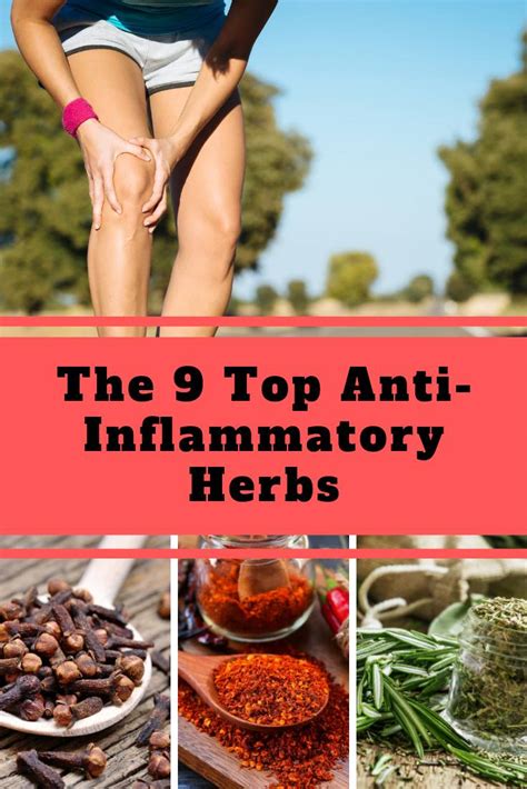 9 Top Anti Inflammatory Herbs Home And Gardening Ideas