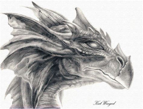 From fire breathing dragons, to flying dragons, colourful dragons and of course the adorable baby dragon, there are all kinds of fantastic dragon drawings available. Dragon Head Wallpapers - Wallpaper Cave