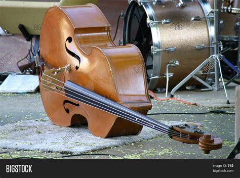 Stand Bass Lying Down Image Photo Free Trial Bigstock