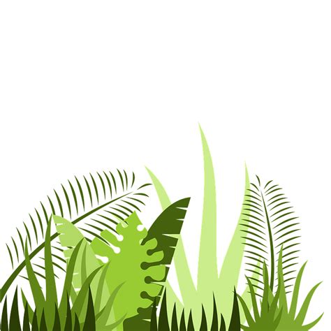 Safari Jungle Leaves Png Check Out Our Jungle Safari Png Selection My