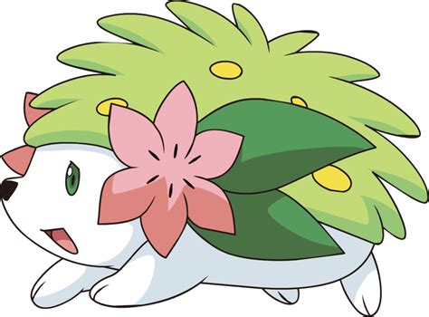 Shaymin Pokémon Wiki Fandom Powered By Wikia Pokemon Cute