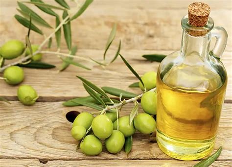 Benefits Of Greek Olive Oil Ancient Greece