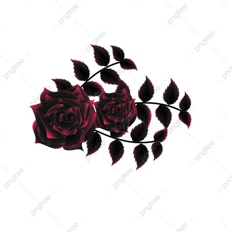 Pink Rose Bouquet Vector Art Png Floral Bouquet Of Black Pink Roses