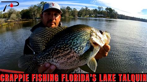 Lake Talquin Crappie Fishing Youtube