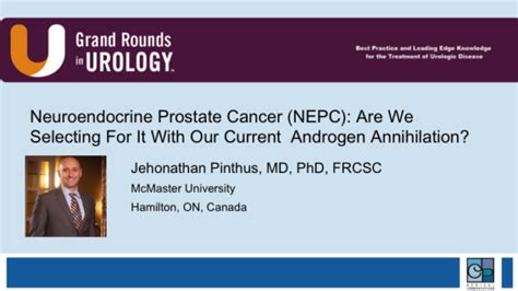 International Prostate Cancer Update 2016 Archives Grand Rounds In