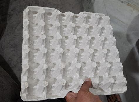 White Paper Pulp Egg Tray For Poultry Farms Size 30x30 Cm Rs 240