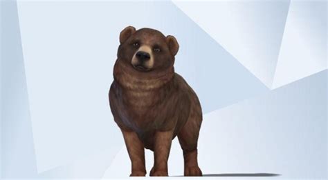 Grizzly Bear At Kalino The Sims 4 Catalog