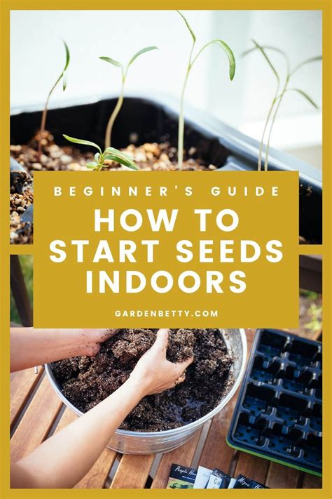 Get This Foolproof Beginners Guide To Starting Seeds Indoors