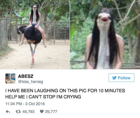When you share, everyone wins. 24 Hilarious Picture Tweets That Will Make You Just Laugh ...