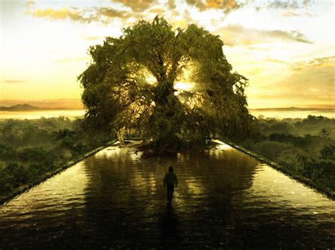 You can also be anyone. The Tree of Life represents the spiritual point of balance ...