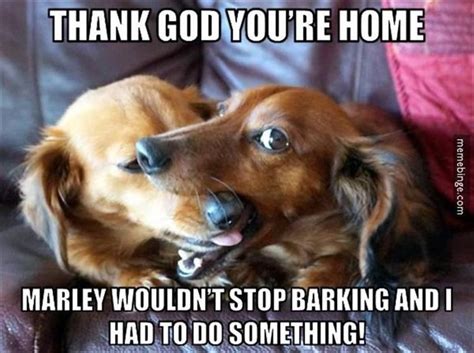 Funny Animal Pictures Of The Day 23 Pics Funny Animal Memes Funny
