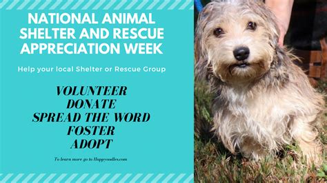 National Animal Shelter And Rescue Appreciation Week Happy Oodles