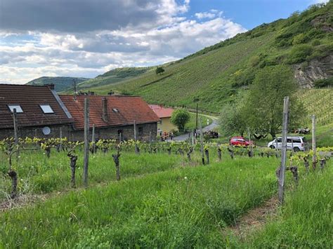 Günstige wohnung in lorch mieten oder kaufen. Weingut Traubenwerk (Lorch) - Aktuelle 2019 - Lohnt es ...
