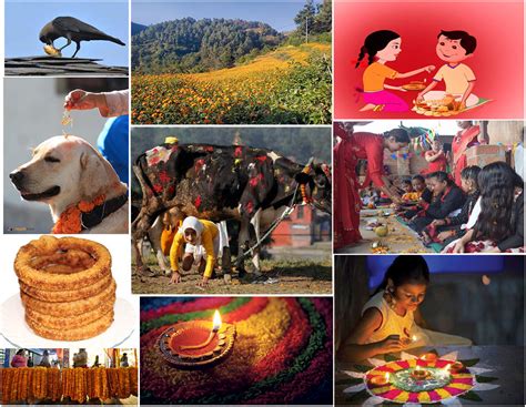 Tihar Festival Begins From Today Myrepublica The New York Times