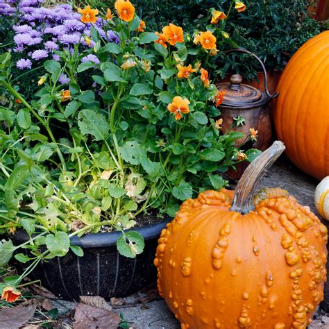 What To Plant This October