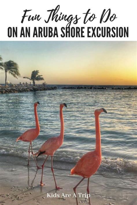 6 Fun Things To Do In Aruba On A Cruise Port Day Kids Are A Trip