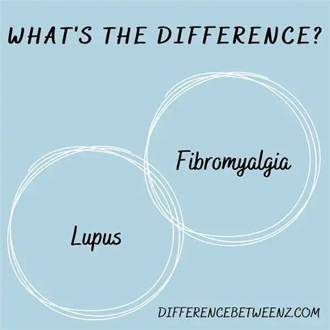 Difference Between Lupus And Fibromyalgia Difference Betweenz