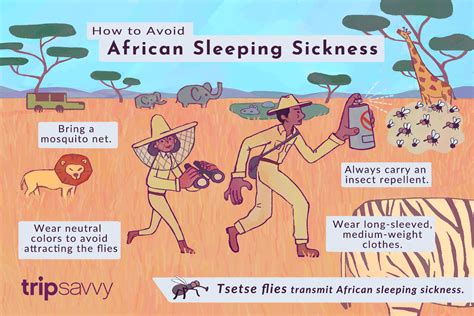 The Tsetse Fly And African Sleeping Sickness