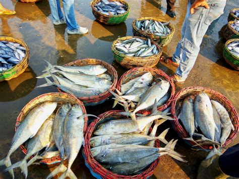 Menikmati Hasil Laut dari Aceh (Bagian III) - Mongabay.co.id : Mongabay