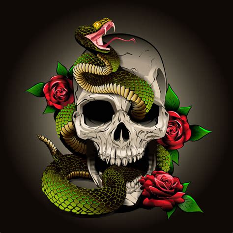 Artstation Skull Snake And Roses